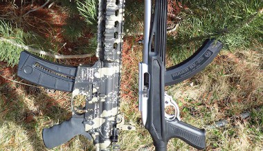 S&W 15-22 vs Ruger 10/22: Survival Rifle Debate for 2021