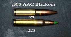 223 Rem Vs 300 c Blackout Head To Head Comparison