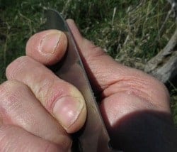 best wilderness survival knife
