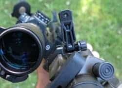 back up rifle sights
