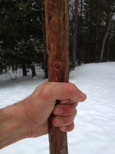 survival_staff_inhand