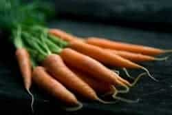 carrots_foraging