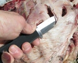 5_Fallkniven_S1_Pro_review_meat_slicing