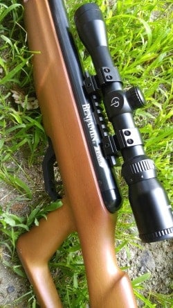 Benjamin-Trail-NP2-22-air-rifle-hunting