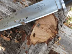 Best Fallkniven Survival Knife