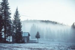 Survival_cache_SHTFblog_winter_survival_fog_cabin_desolate