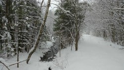 Survival_cache_SHTFblog_winter_survival_trail_snow