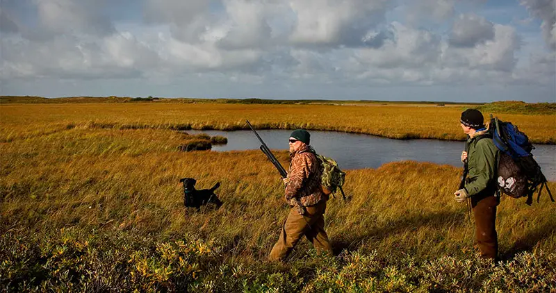 Tips for the Solo Pheasant Hunter
