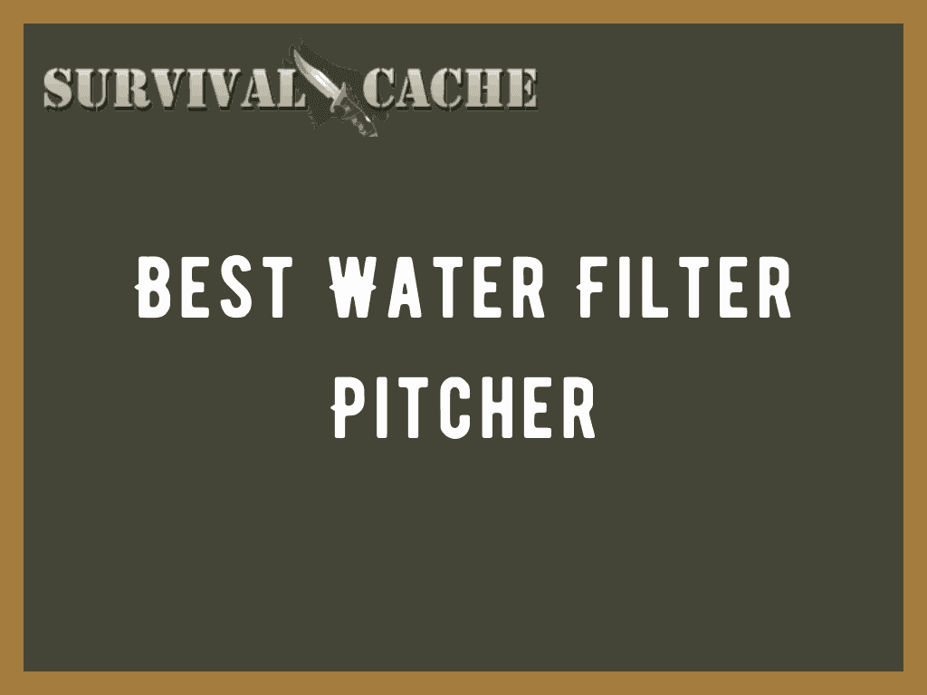 Best Water Filter Pitchers for 2021