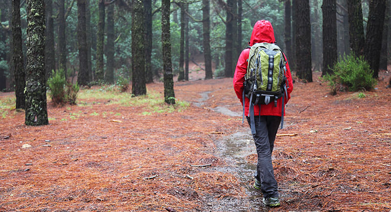 How to Choose the Right Rain Pants for Hiking, Fishing, and More