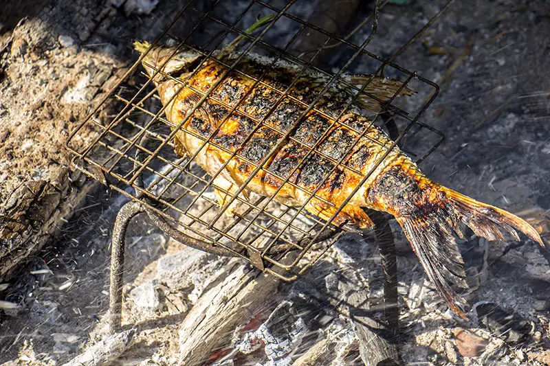 Fry Up That Fresh Catch Over Your Campfire With A Fish Basket For Grilling
