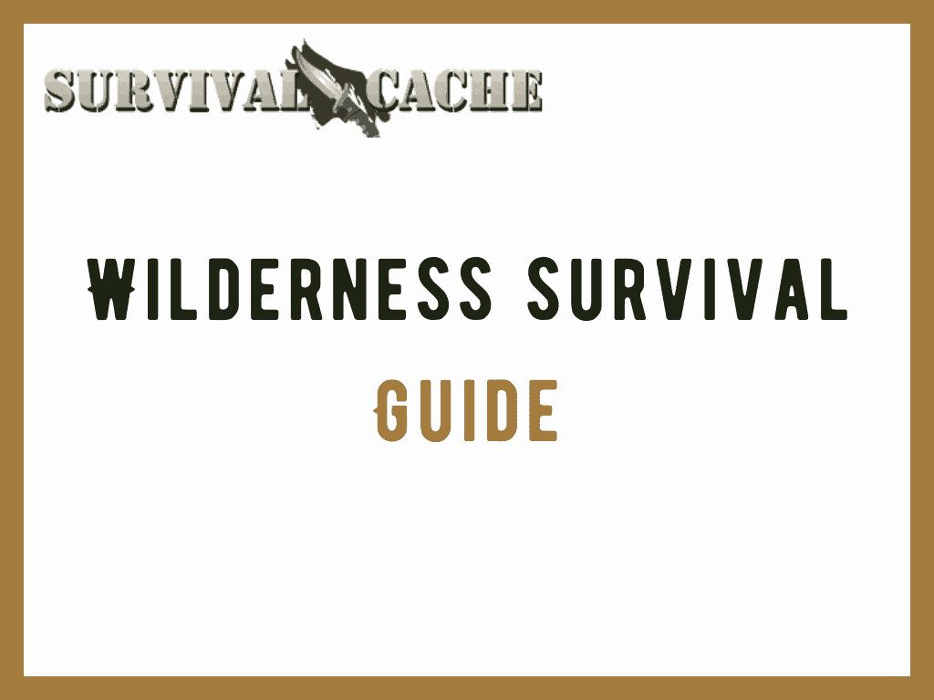 Wilderness Survival Guide: 8 Common Mistakes & Expert Tips