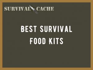 Best Survival Food Kits in the market