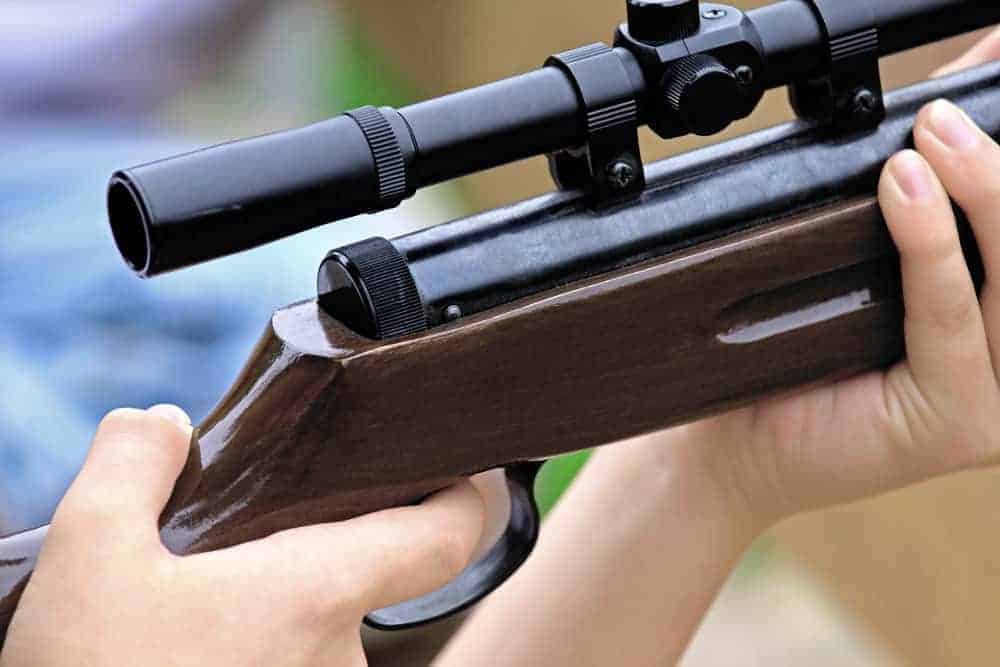 Comprendre les vues et les portées utilisées pour les fusils de chasse