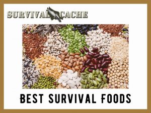 Best Survival Foods for stockpiling