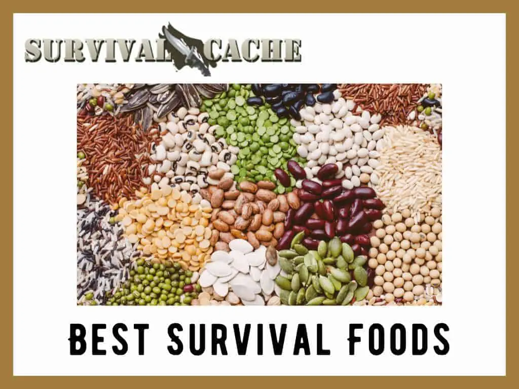 25 Best Survival Foods To Stockpile