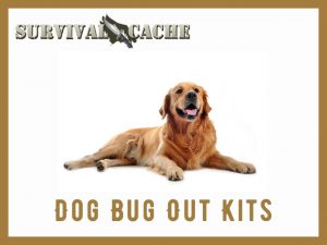 Dog Bug Out Bag Design