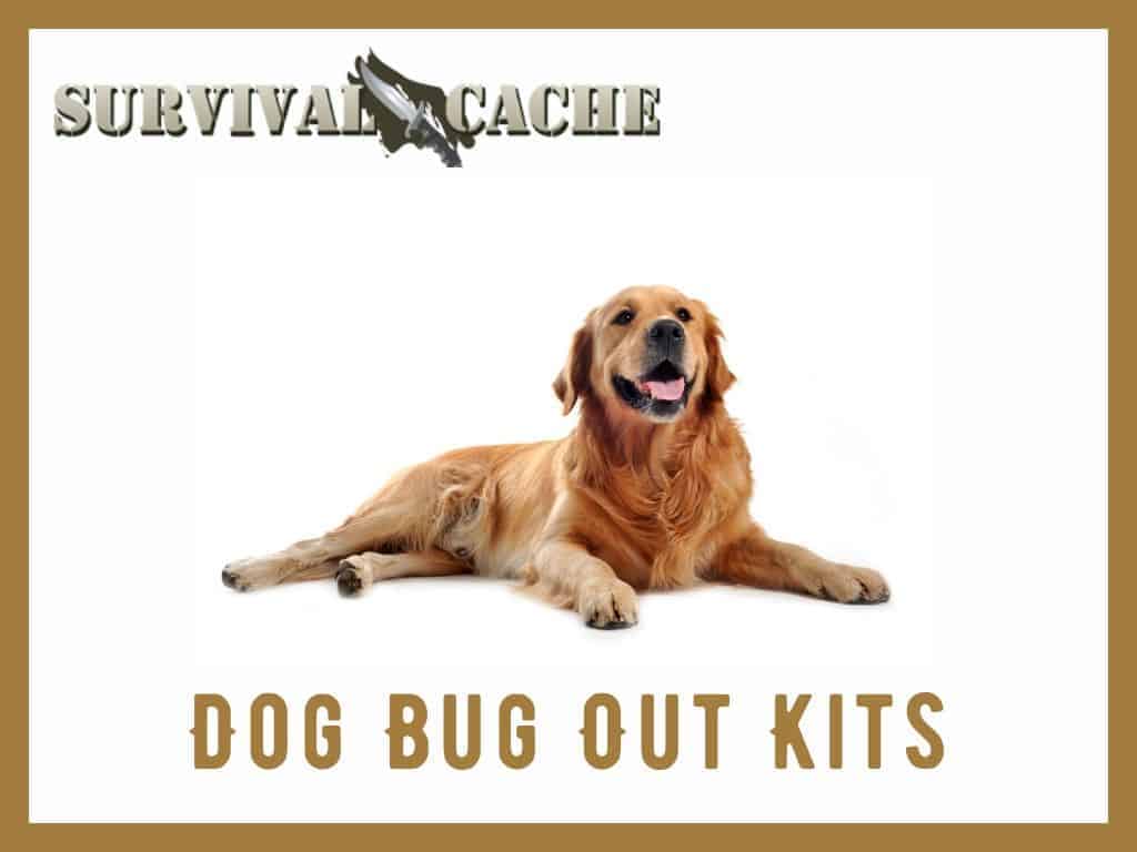 Dog Bug Out Bag Kit Design: 12 Items To Include
