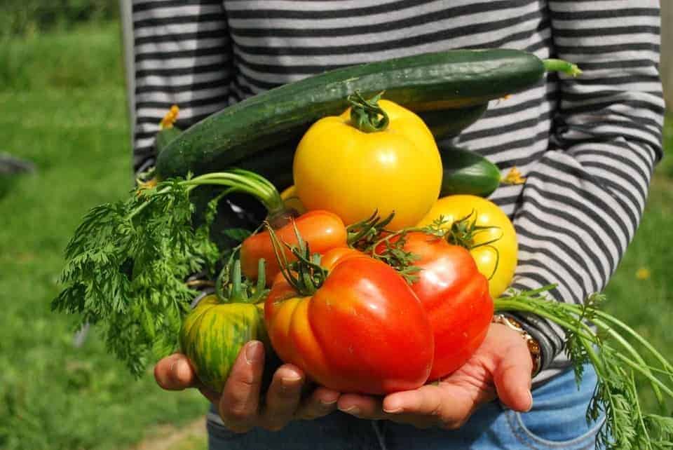 Préparation de la pénurie alimentaire