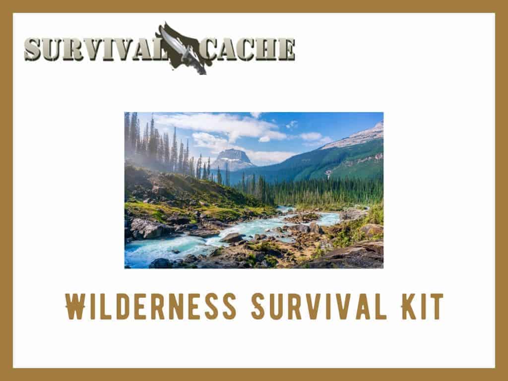 Wilderness/Bushcraft Survival Kit: What To Pack and Why?