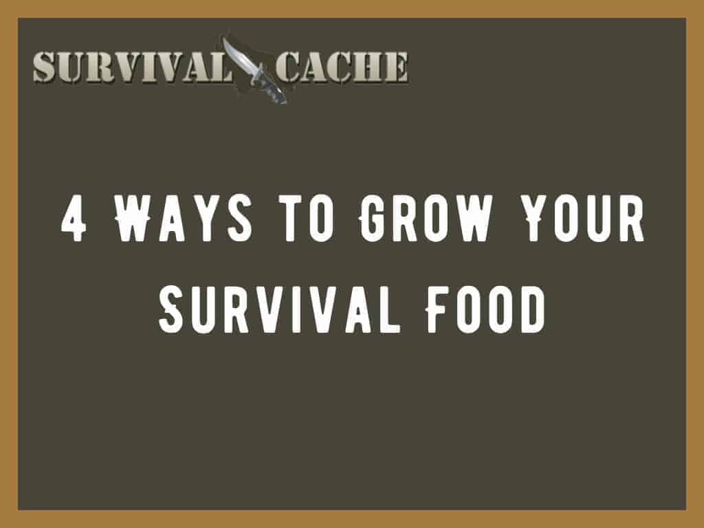 façons de cultiver des aliments de survie