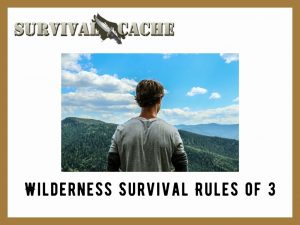 Survival Rules of 3