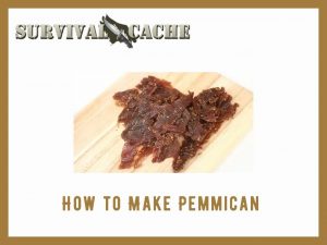 pemmican