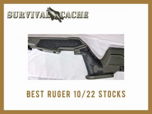 Best Ruger 10/22 Stocks