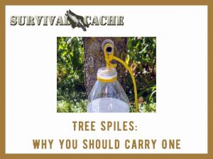 tree spile