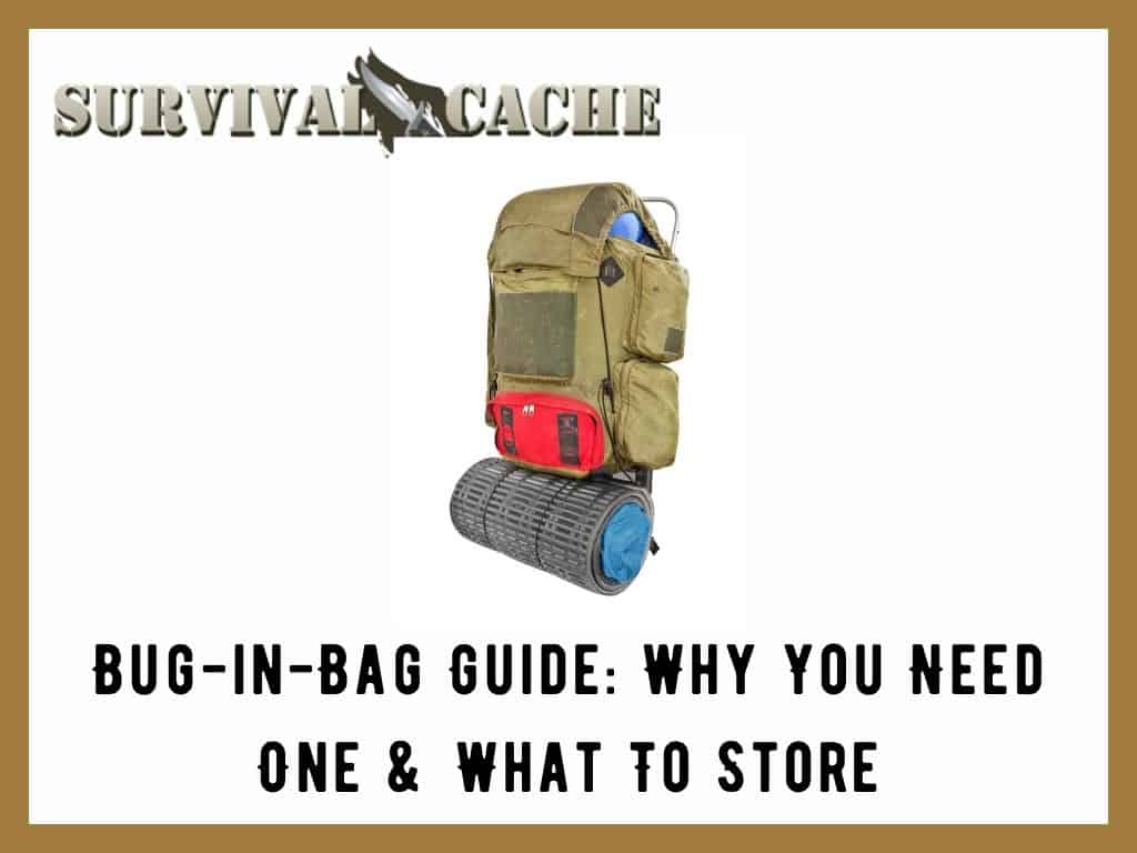 Bug in Bag Guide: Why You Need One And 33 Items To Store
