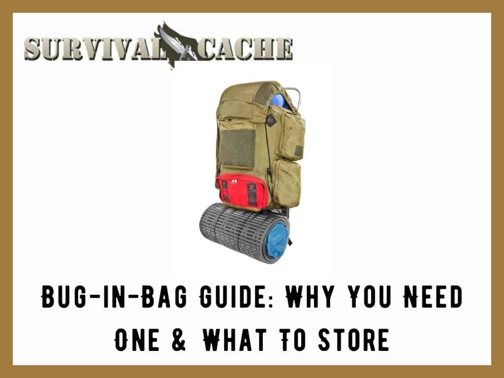 Bug-in-bag-guide