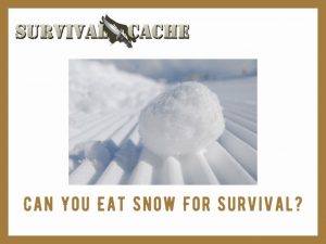 Mangez de la neige pour survivre