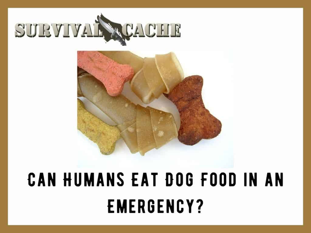 Les humains peuvent-ils manger de la nourriture pour chiens en cas d'urgence?