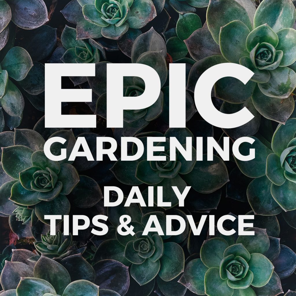 EPIC-GARDENING-COVER_JS 