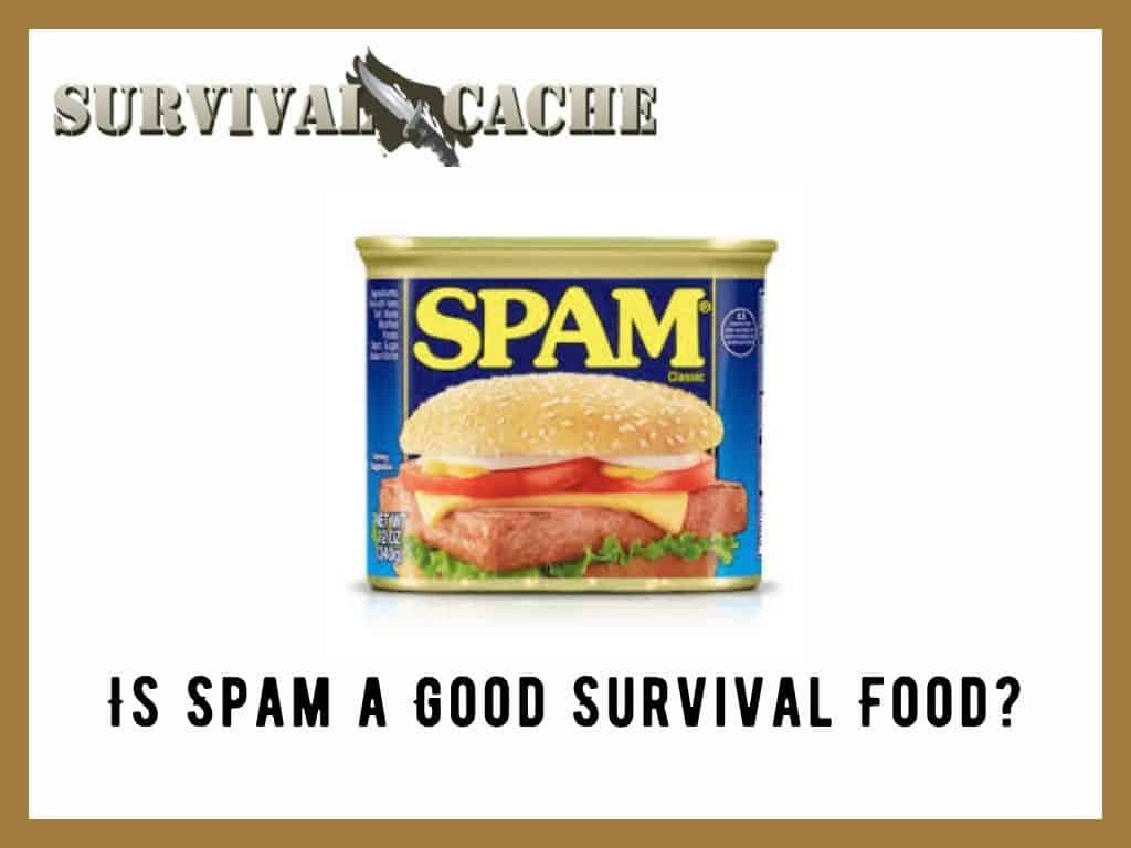 Le spam est-il un bon aliment de survie