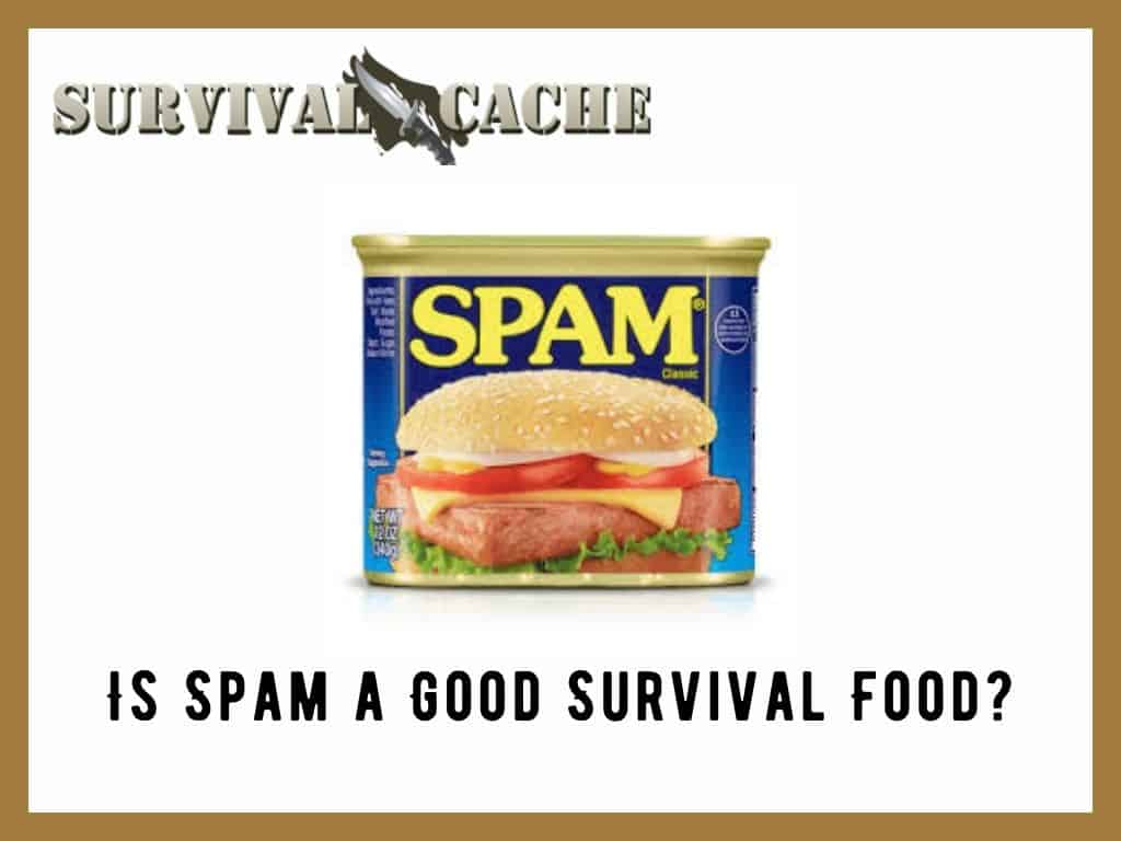 How Long Does Spam Last? And Other Considerations