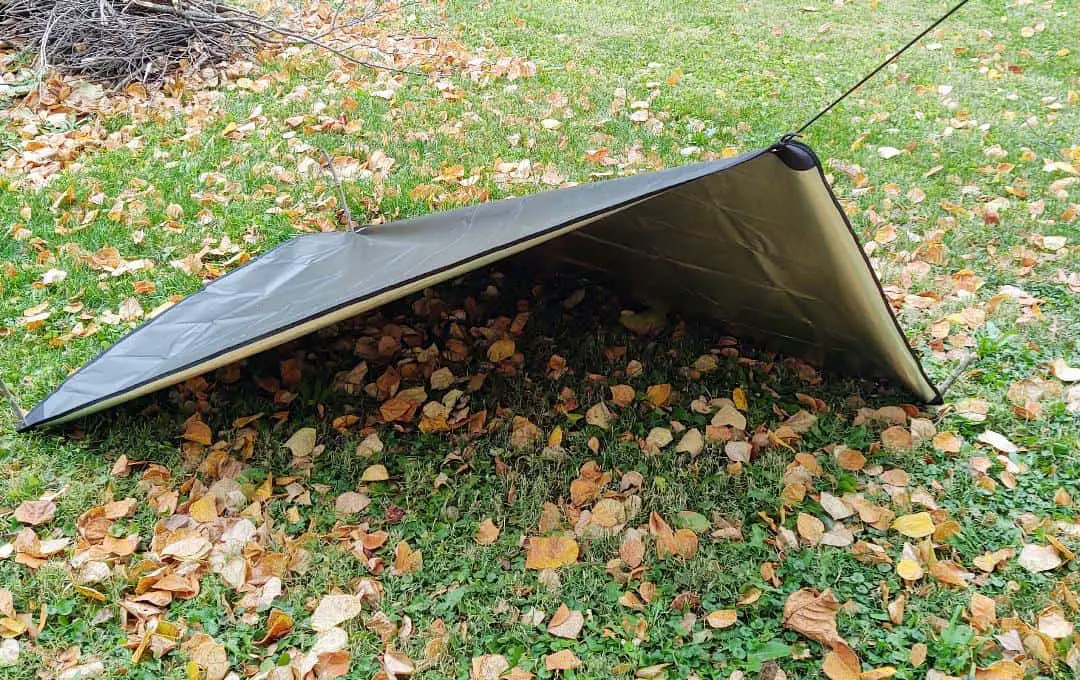 Survival Debate: Tent or Tarp