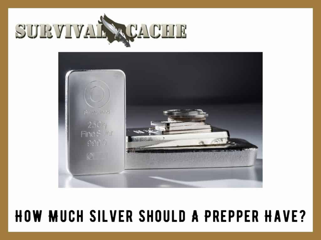Silver Should A Prepper Have