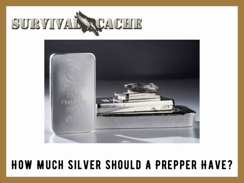 How Much Silver Should A Prepper Have? Survival 101