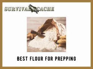 Best Flour for Prepping