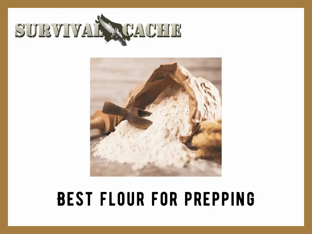 Best Flour For Prepping: Top 3 Picks