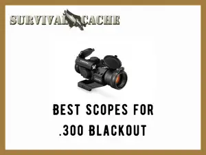 Best Scopes for .300 blackout