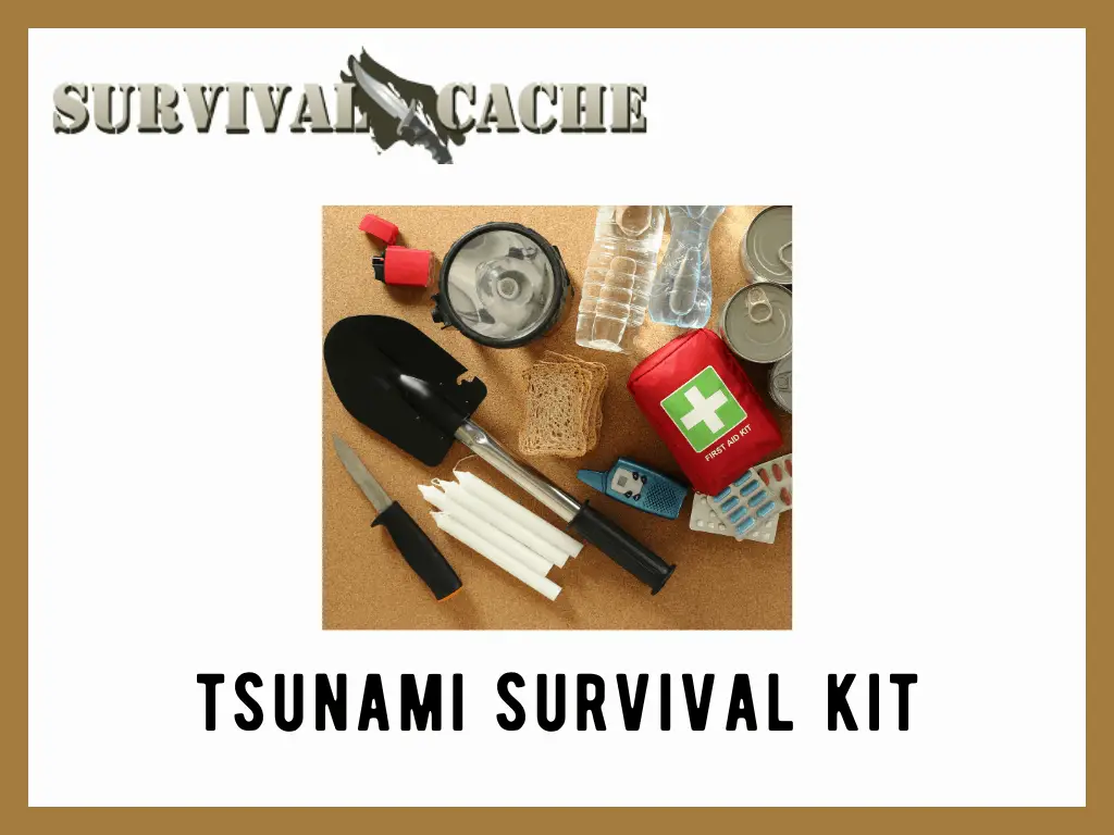 Tsunami Survival Kit: 15 Items to Include in 2022