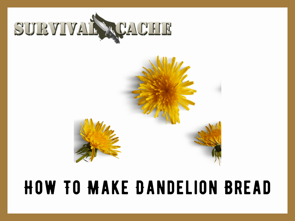 How To Make Dandelion Bread for Preppers: Quick Recipe