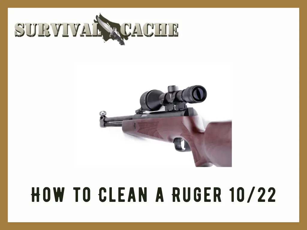 How to Clean a Ruger 10/22: 9 Easy Steps
