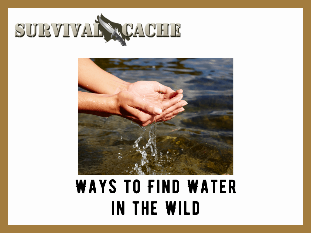 9 Ways to Find Water in the Wild: Survival 101