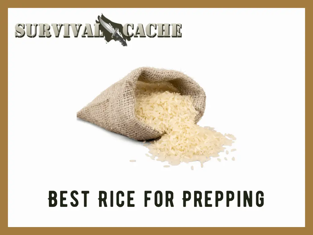 Best Rice for Prepping: Types, Why Stock, Common Questions