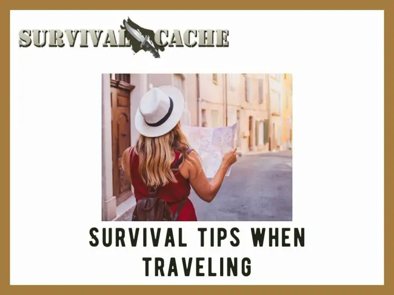 7 Survival Tips When Traveling: Guide to Safe & Healthy Travel ...