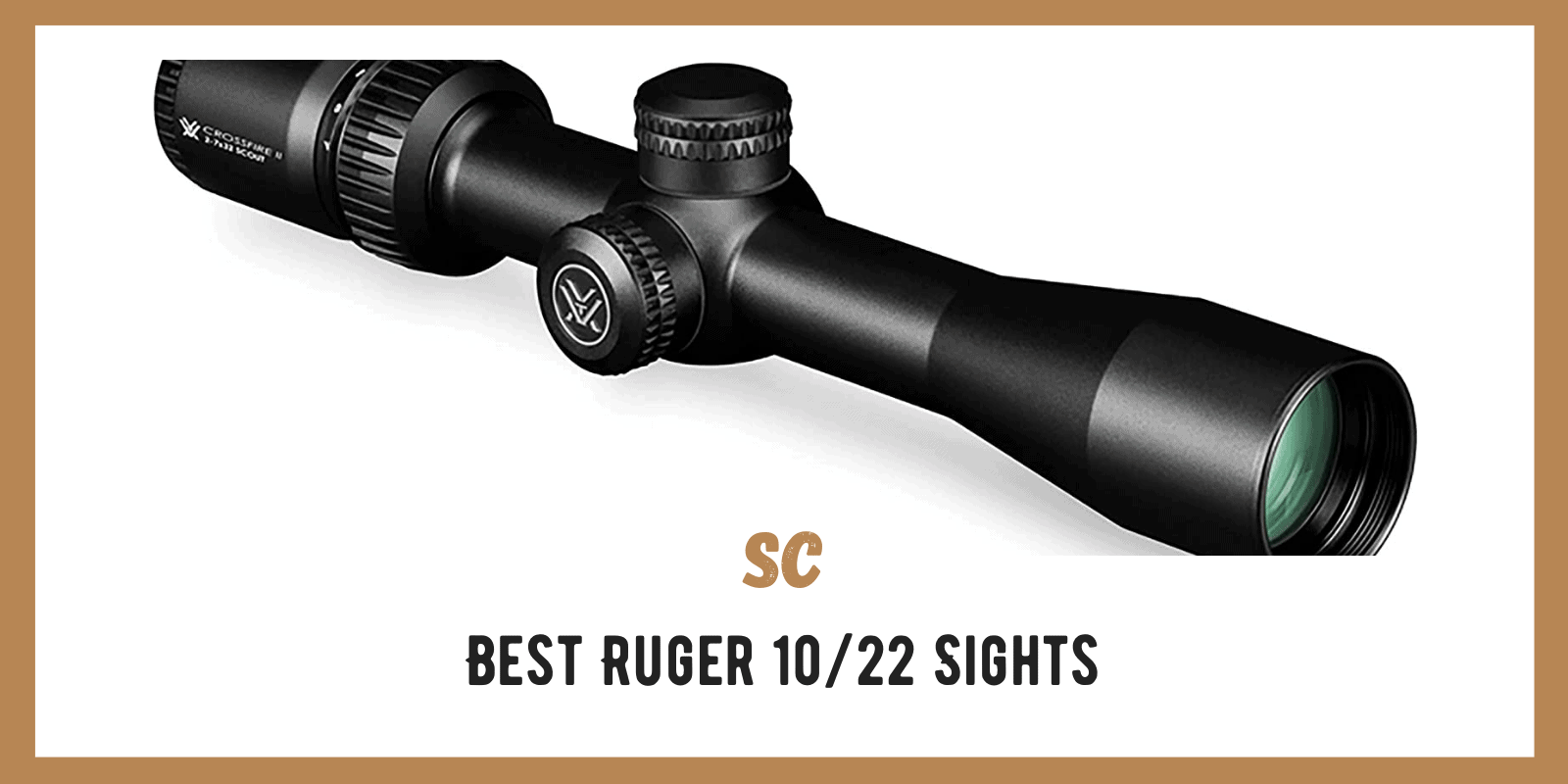 Ins and Outs of the Best Ruger 10/22 Sights: My Experiences Discussed
