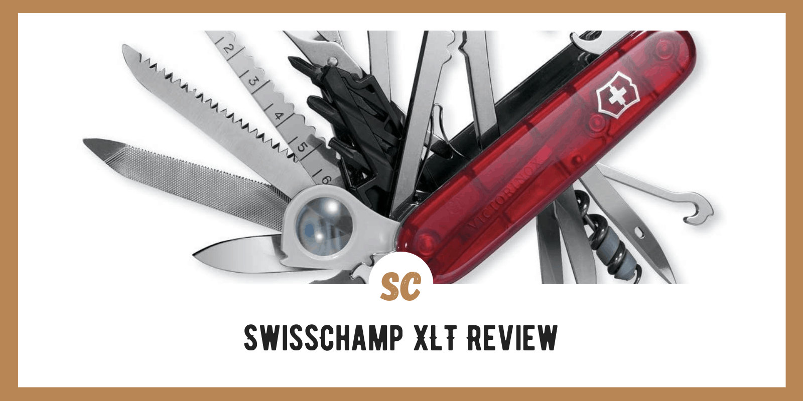 SwissChamp XLT Review: Is It Worth It?